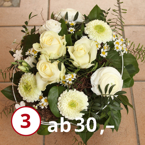 Strauß 3