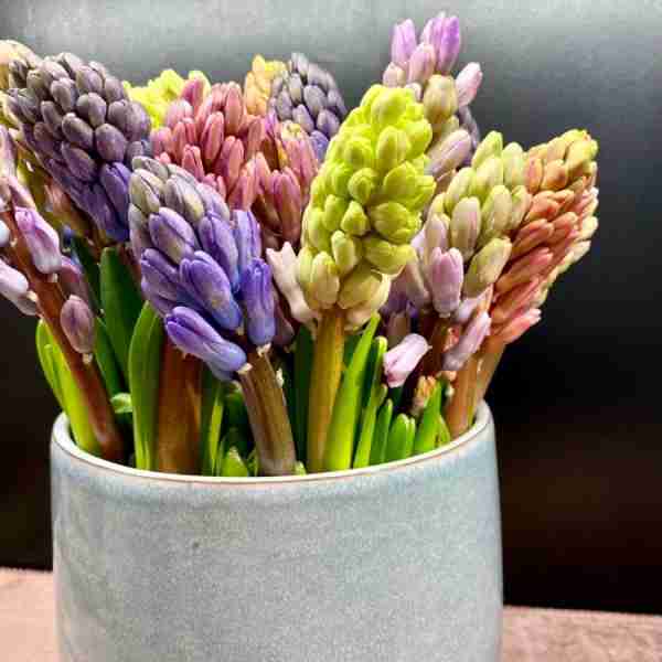 http://www.blumen-kubat.at/data/image/thumpnail/image.php?image=239/blumenkubat_at_article_4372_1.jpg&width=600