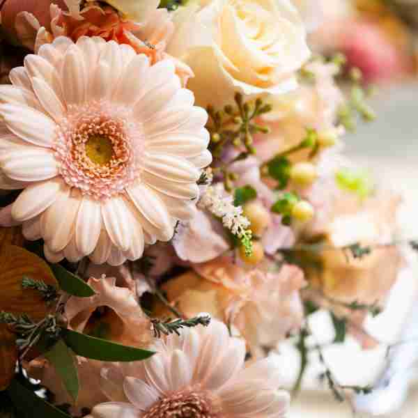 http://www.blumen-kubat.at/data/image/thumpnail/image.php?image=239/blumenkubat_at_article_4443_1.jpg&width=600